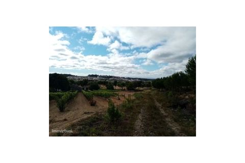 Erhvervsejendom i Macao, Santarem, Macao - € 160.000 | Ref: 7537 - foto 20