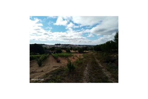 Erhvervsejendom i Macao, Santarem, Macao - € 160.000 | Ref: 7537 - foto 21