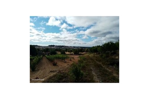 Erhvervsejendom i Macao, Santarem, Macao - € 160.000 | Ref: 7537 - foto 25