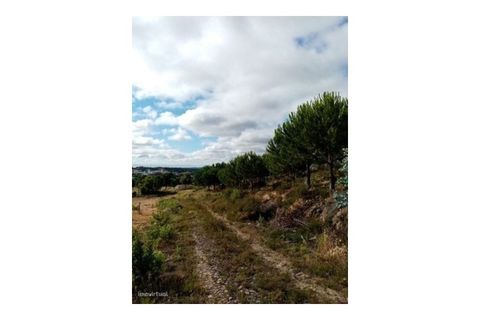 Erhvervsejendom i Macao, Santarem, Macao - € 160.000 | Ref: 7537 - foto 40