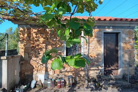 Erhvervsejendom i Macao, Santarem, Macao - € 160.000 | Ref: 7537 - foto 2