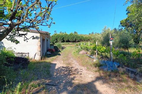 Erhvervsejendom i Macao, Santarem, Macao - € 160.000 | Ref: 7537 - foto 1