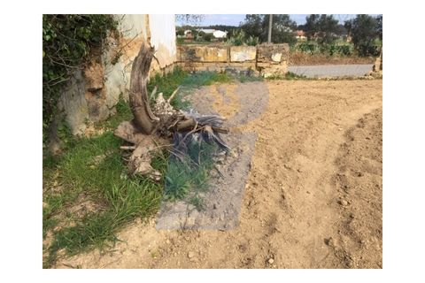 Helårsgrund i Anadia, Aveiro, Anadia - € 33.000 | Ref: TER_586 - foto 2