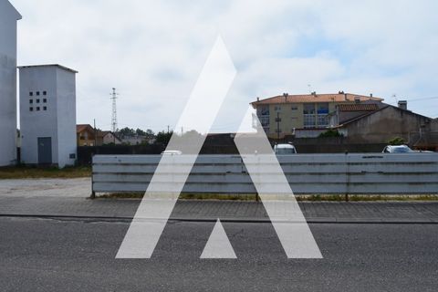 Helårsgrund i Vagos, Aveiro, Vagos - € 204.000 | Ref: 1060554/21 AL - foto 14