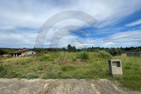 Terra a Sardoal, Santarem, Sardoal - € 35.000 | Ref: C0269-00731 - foto 2