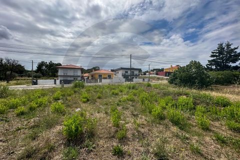 Terra a Sardoal, Santarem, Sardoal - € 35.000 | Ref: C0269-00731 - foto 3
