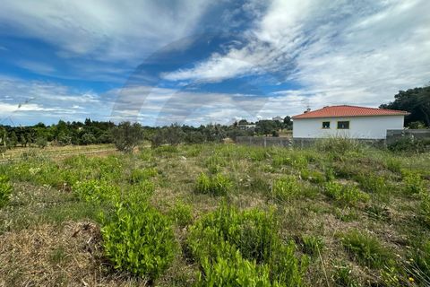 Terra a Sardoal, Santarem, Sardoal - € 35.000 | Ref: C0269-00731 - foto 4