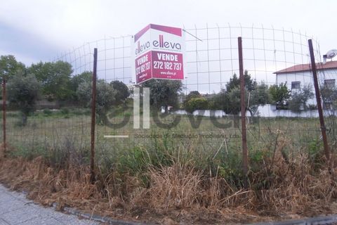 Helårsgrund i Castelo Branco, Castelo Branco, Castelo Branco - € 450.000 | Ref: 3165 - foto 1