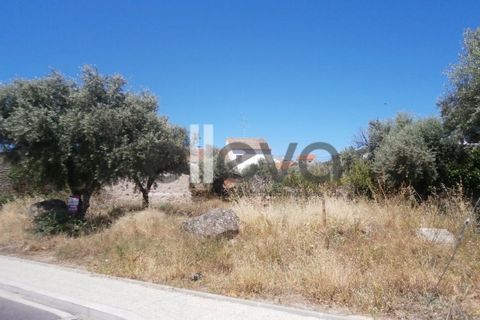 Helårsgrund i Castelo Branco, Castelo Branco, Castelo Branco - € 450.000 | Ref: 3165 - foto 3