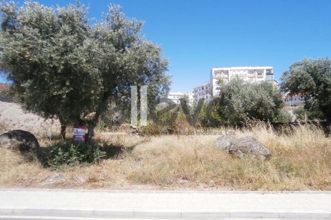 Helårsgrund i Castelo Branco, Castelo Branco, Castelo Branco - € 450.000 | Ref: 3165 - foto 2