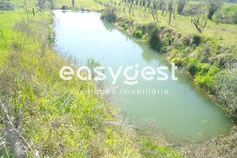 Helårsgrund i Fundao, Castelo Branco, Fundao - € 69.000 | Ref: CB81779MA - foto 1