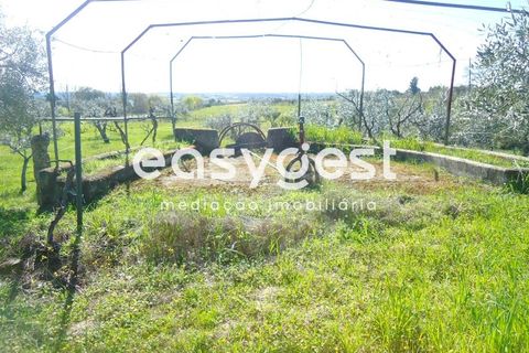 Helårsgrund i Fundao, Castelo Branco, Fundao - € 69.000 | Ref: CB81779MA - foto 3