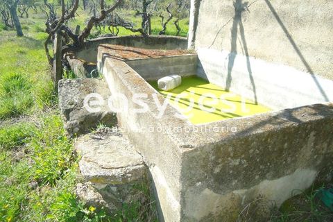 Helårsgrund i Fundao, Castelo Branco, Fundao - € 69.000 | Ref: CB81779MA - foto 6