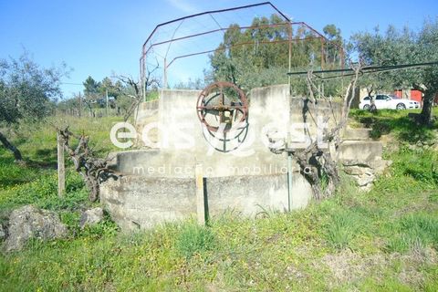 Helårsgrund i Fundao, Castelo Branco, Fundao - € 69.000 | Ref: CB81779MA - foto 7