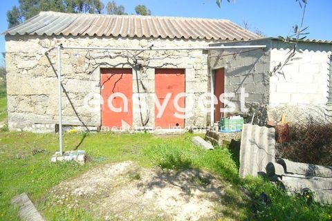 Helårsgrund i Fundao, Castelo Branco, Fundao - € 69.000 | Ref: CB81779MA - foto 8