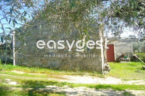 Helårsgrund i Fundao, Castelo Branco, Fundao - € 69.000 | Ref: CB81779MA - foto 9