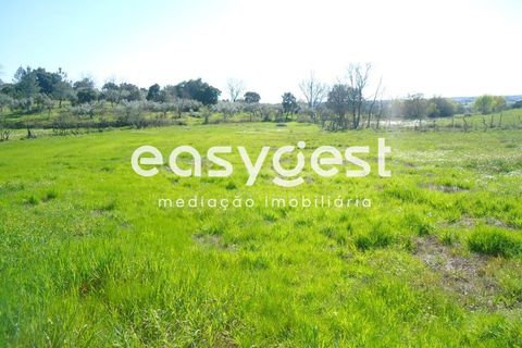 Helårsgrund i Fundao, Castelo Branco, Fundao - € 69.000 | Ref: CB81779MA - foto 11