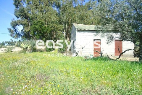 Helårsgrund i Fundao, Castelo Branco, Fundao - € 69.000 | Ref: CB81779MA - foto 12