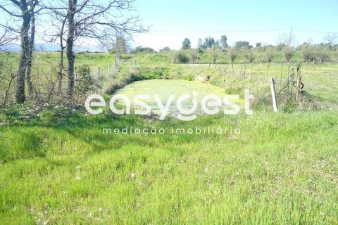 Helårsgrund i Fundao, Castelo Branco, Fundao - € 69.000 | Ref: CB81779MA - foto 18