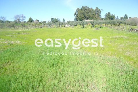 Helårsgrund i Fundao, Castelo Branco, Fundao - € 69.000 | Ref: CB81779MA - foto 19