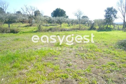 Helårsgrund i Fundao, Castelo Branco, Fundao - € 69.000 | Ref: CB81779MA - foto 20