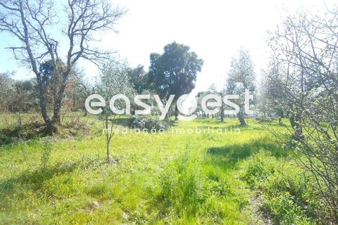 Helårsgrund i Fundao, Castelo Branco, Fundao - € 69.000 | Ref: CB81779MA - foto 21