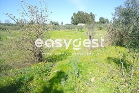 Helårsgrund i Fundao, Castelo Branco, Fundao - € 69.000 | Ref: CB81779MA - foto 30