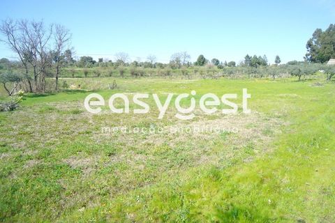 Helårsgrund i Fundao, Castelo Branco, Fundao - € 69.000 | Ref: CB81779MA - foto 31