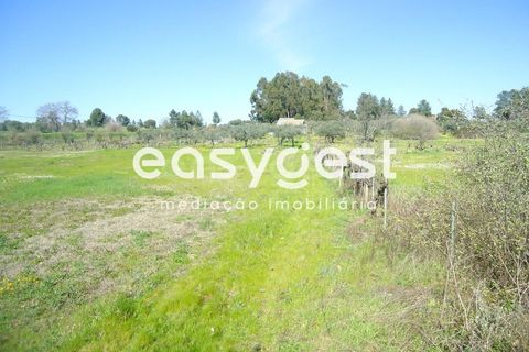Helårsgrund i Fundao, Castelo Branco, Fundao - € 69.000 | Ref: CB81779MA - foto 32