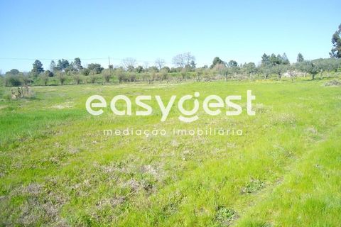Helårsgrund i Fundao, Castelo Branco, Fundao - € 69.000 | Ref: CB81779MA - foto 33