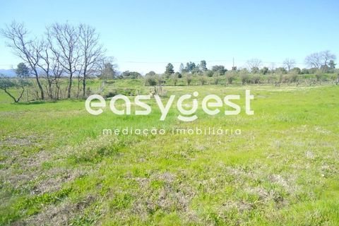 Helårsgrund i Fundao, Castelo Branco, Fundao - € 69.000 | Ref: CB81779MA - foto 34