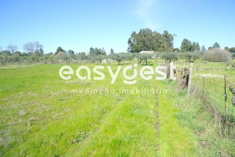 Helårsgrund i Fundao, Castelo Branco, Fundao - € 69.000 | Ref: CB81779MA - foto 35
