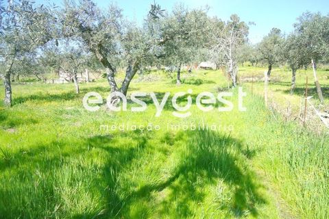 Helårsgrund i Fundao, Castelo Branco, Fundao - € 69.000 | Ref: CB81779MA - foto 38