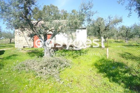 Helårsgrund i Fundao, Castelo Branco, Fundao - € 69.000 | Ref: CB81779MA - foto 44