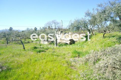 Helårsgrund i Fundao, Castelo Branco, Fundao - € 69.000 | Ref: CB81779MA - foto 45