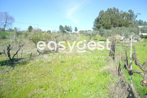 Helårsgrund i Fundao, Castelo Branco, Fundao - € 69.000 | Ref: CB81779MA - foto 47
