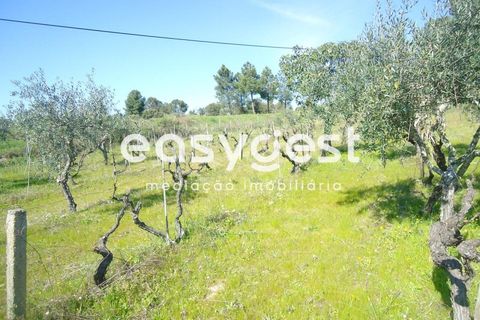 Helårsgrund i Fundao, Castelo Branco, Fundao - € 69.000 | Ref: CB81779MA - foto 48