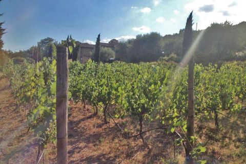 Villa i Cortona, Arezzo, Cortona - € 1.100.000 | Ref: v3737v-x - foto 37