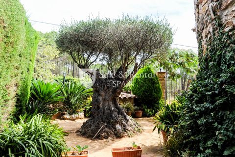 Villa i Blanes, Gerona, Blanes - € 800.000 | Ref: 1916 - foto 38