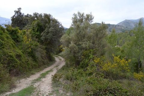 Terra a Beniarda, Alicante, Beniarda - € 17.000 | Ref: 6330 - foto 2