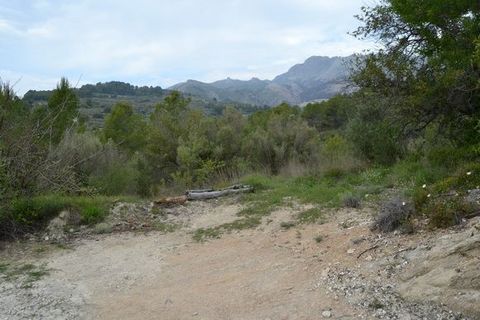 Terra a Beniarda, Alicante, Beniarda - € 17.000 | Ref: 6330 - foto 3
