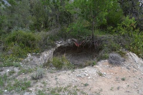 Terra a Beniarda, Alicante, Beniarda - € 17.000 | Ref: 6330 - foto 4