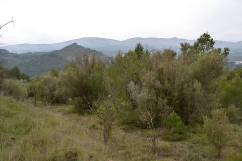 Terra a Beniarda, Alicante, Beniarda - € 17.000 | Ref: 6330 - foto 5
