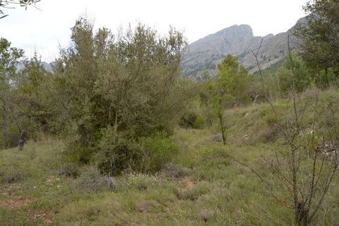 Terra a Beniarda, Alicante, Beniarda - € 17.000 | Ref: 6330 - foto 6
