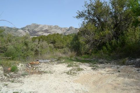 Terra a Beniarda, Alicante, Beniarda - € 17.000 | Ref: 6330 - foto 7