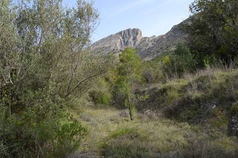Terra a Beniarda, Alicante, Beniarda - € 17.000 | Ref: 6330 - foto 8