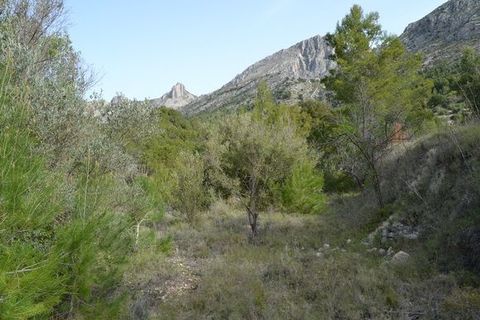 Terra a Beniarda, Alicante, Beniarda - € 17.000 | Ref: 6330 - foto 9