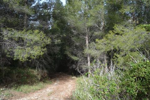 Terra a Beniarda, Alicante, Beniarda - € 17.000 | Ref: 6330 - foto 10