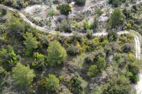 Terra a Beniarda, Alicante, Beniarda - € 17.000 | Ref: 6330 - foto 11