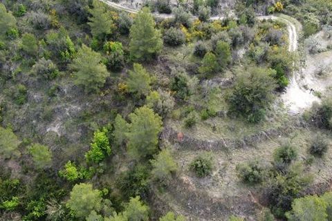 Terra a Beniarda, Alicante, Beniarda - € 17.000 | Ref: 6330 - foto 12